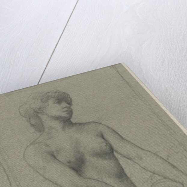 Nude Woman by Alphonse Legros