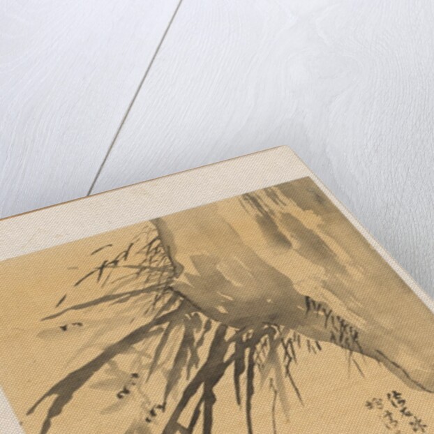 Orchid, 19th century by Watanabe Kazan