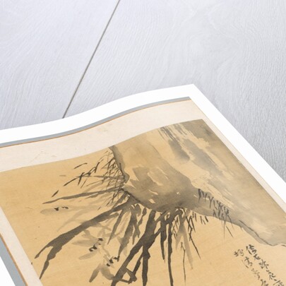 Orchid, 19th century by Watanabe Kazan