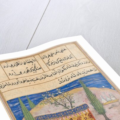 Page from Tales of a Parrot: Eighth night: The young prince is presented…, 1558-1560 by Unknown