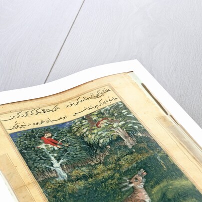 Page from Tales of a Parrot: Thirty-first night: The donkey, in a tiger?s skin…, 1558- by Basavana (attributed to)