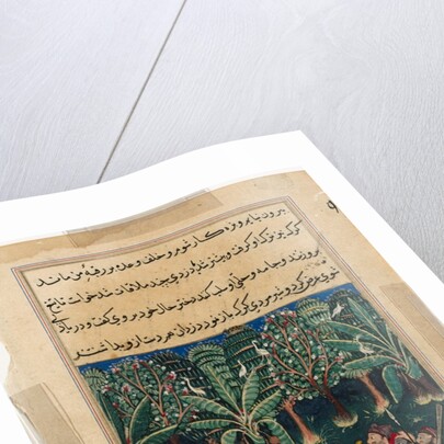 Page from Tales of a Parrot: Twelfth night: The merchant?s daughter…, c. 1560 by Unknown