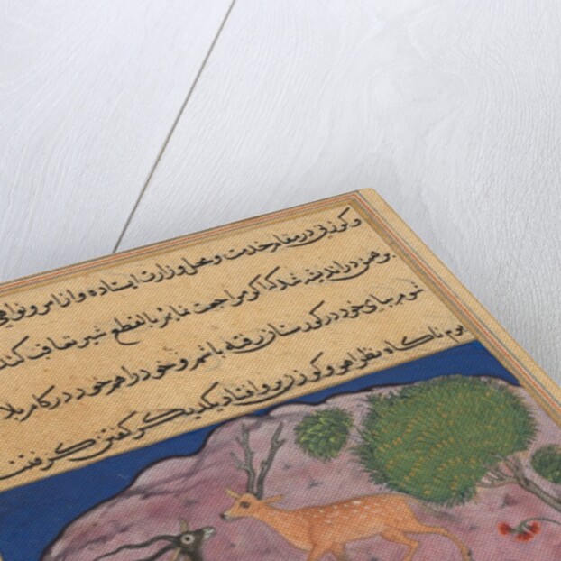 Page from Tales of a Parrot: Twenty-first night: The Brahman…, c. 1560 by Unknown