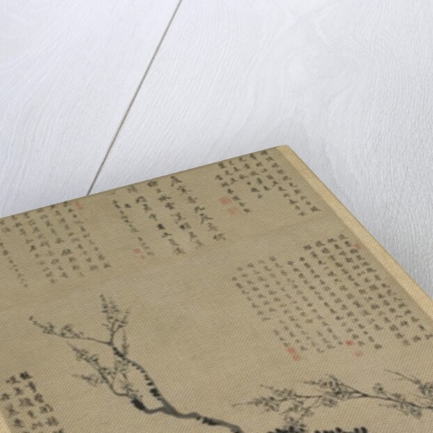 Plum Blossoms, 1747 by Wang Shishen