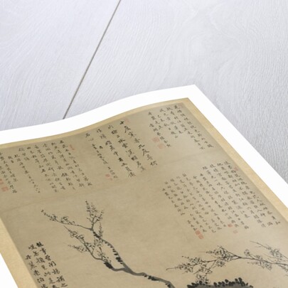 Plum Blossoms, 1747 by Wang Shishen