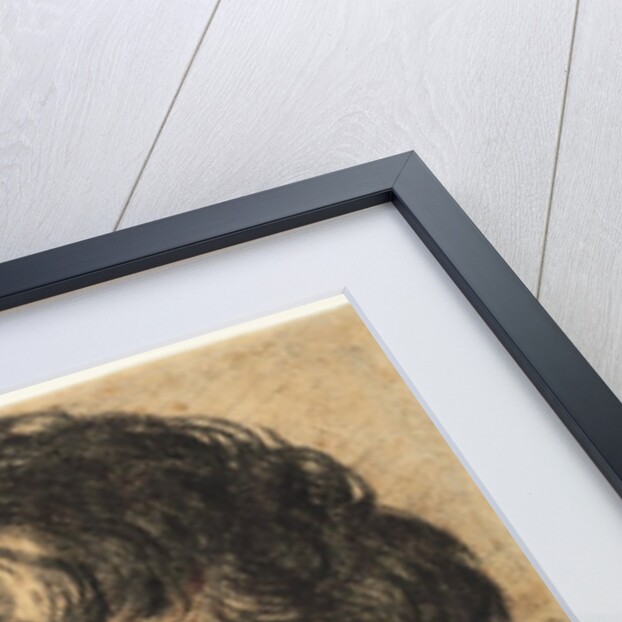 Portrait of a Man, 1500s by Unknown