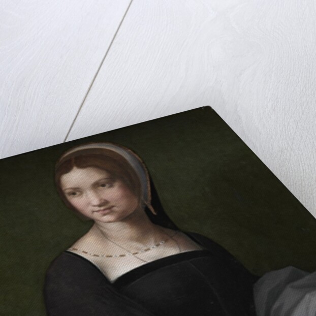 Portrait of a Woman, c. 1518 by Andrea del Sarto (circle of)
