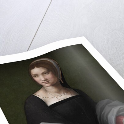 Portrait of a Woman, c. 1518 by Andrea del Sarto (circle of)