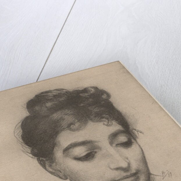 Portrait, 1899 by Félix Bracquemond