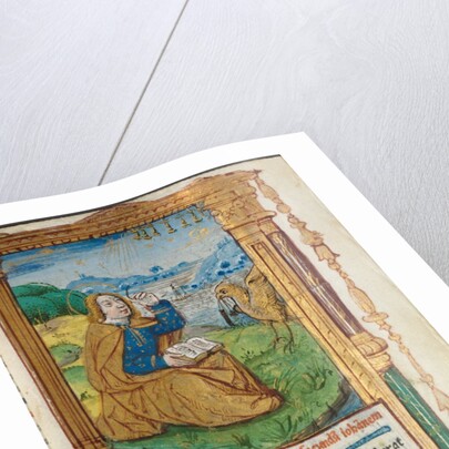 Printed Book of Hours: fol. 17r, St. John on Patmos, 1510 by Guillaume Le Rouge