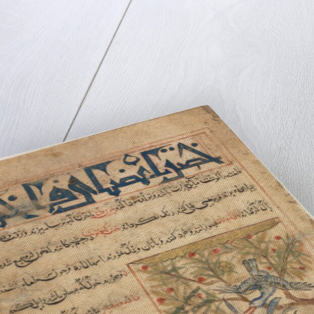 Qualities of Ringdoves from a Manafi al-Hayawan?, c. 1300 by Unknown