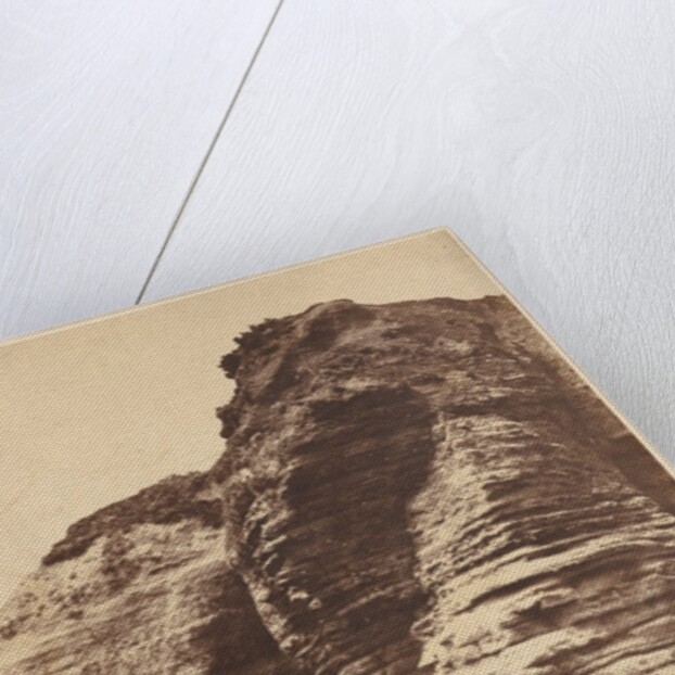 Rocks at Livermead near Torquay, c. 1852 by John Dillwyn Llewelyn (attributed to)