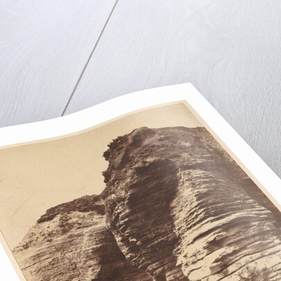 Rocks at Livermead near Torquay, c. 1852 by John Dillwyn Llewelyn (attributed to)