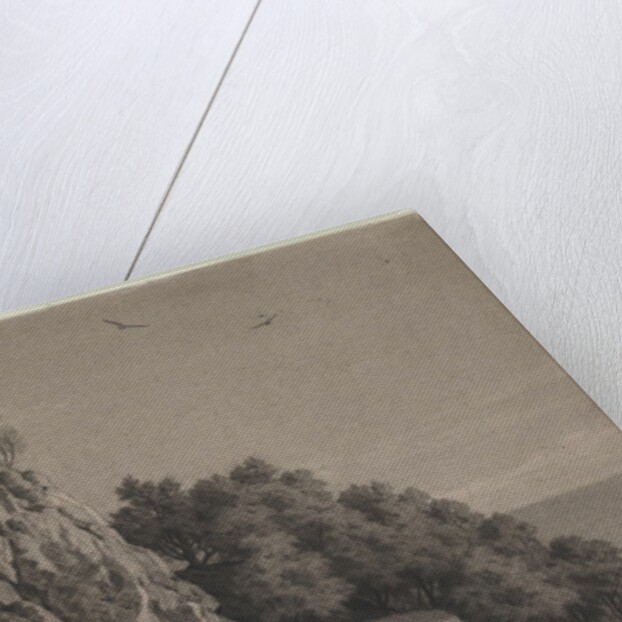 Rocky Cliff on a Coast, c. 1850-1860 by Anonymous