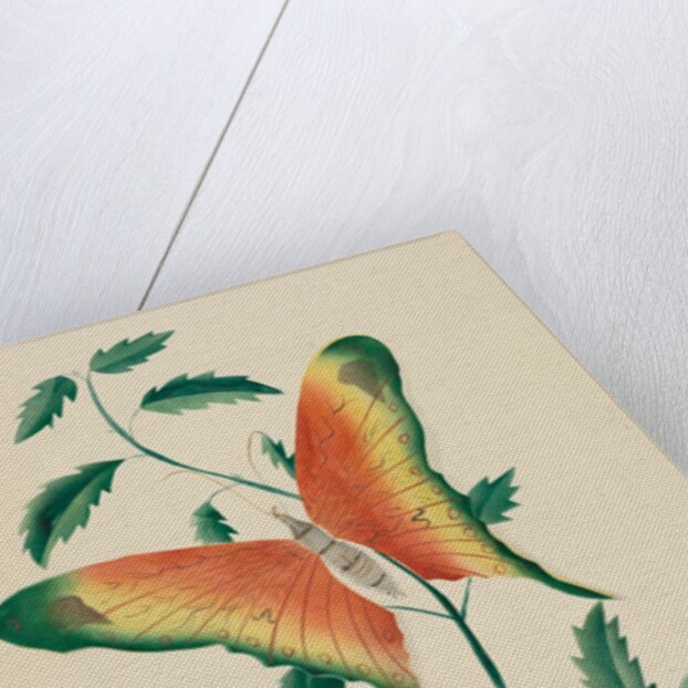 Rose Bush and Butterfly by Mary Altha Nims