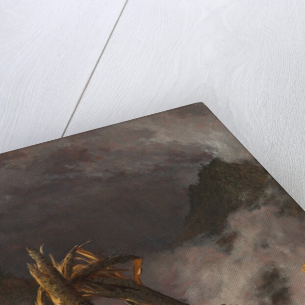 Storm in the Mountains, 1847 by Frederic Edwin Church