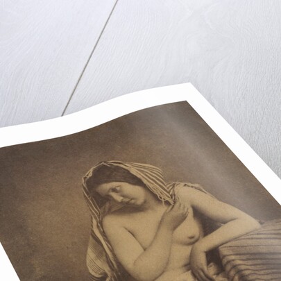 Study after Nature, c. 1853-1855 by Julien Vallou de Villeneuve