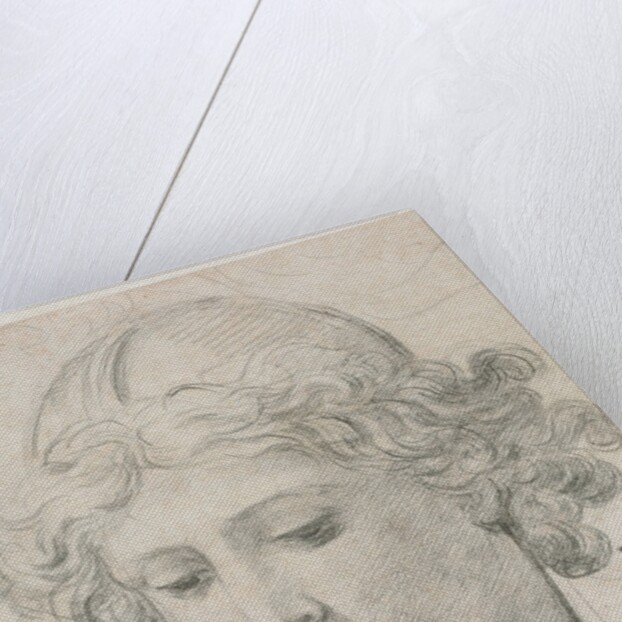Study for the Head of St. Michael, 1633 by Pietro da Cortona