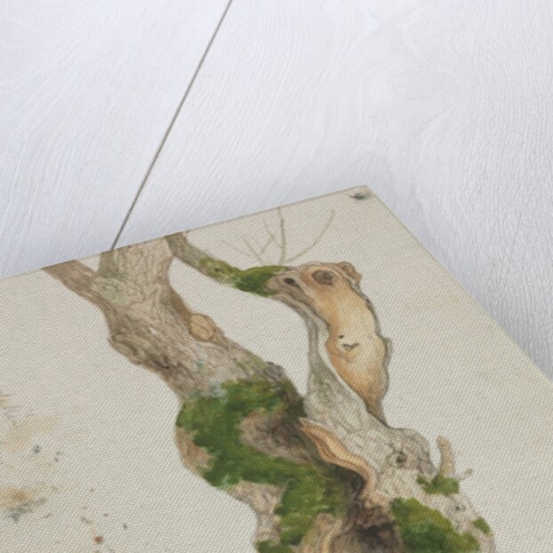 Study of a Tree Trunk by Georges Michel
