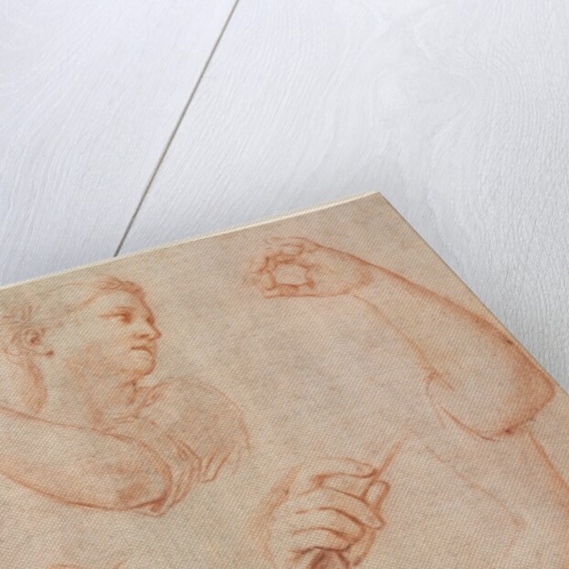 Study of a Young Woman Playing a Tambourine, and Studies of an Arm, Hands, and Feet…, c. 1711 by Marcantonio Franceschini