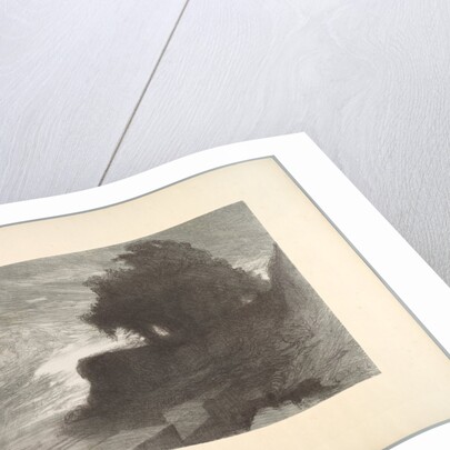 Suite de Paysages: Landscape, Plate 4, Remarque, Snake, 1892-1893 by Charles Marie Dulac