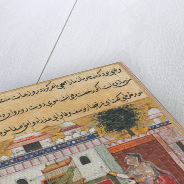 Tales of a Parrot: The Twelfth Night: the parrot addresses Khujasta…, c. 1560 by Unknown