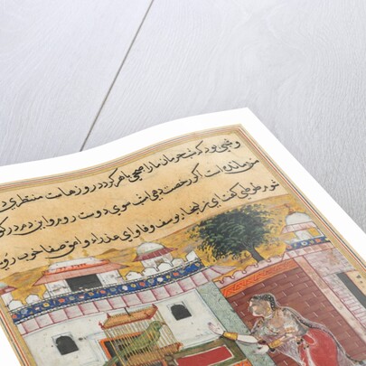 Tales of a Parrot: The Twelfth Night: the parrot addresses Khujasta…, c. 1560 by Unknown