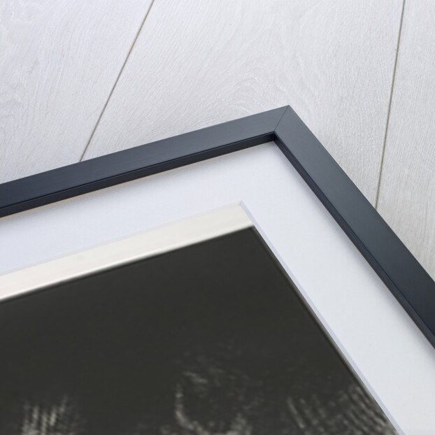 The Apocalypse of Saint John: A Woman Clothed with the Sun, 1899 by Odilon Redon