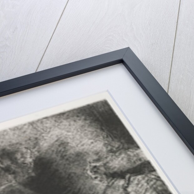 The Apocalypse of Saint John: And There Fell a Great Star from Heaven, Burning…, 1899 by Odilon Redon; Blanchard; Ambroise Vollard