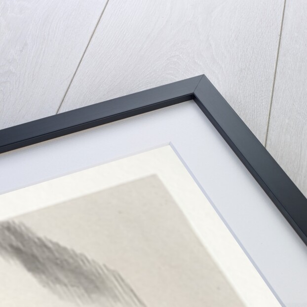 The Haunted House: He Kept His Eyes Fixed on Me with a Look so Strange, 1896 by Odilon Redon; Auguste Clot