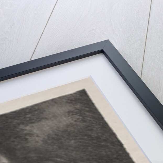 The Muse, 1887 by Henri Fantin-Latour