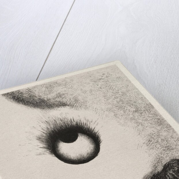 The Temptation of Saint Anthony: Everywhere Eyeballs are Aflame, 1888 by Odilon Redon; Becquet; Edmond Deman