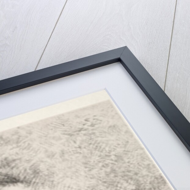 The Temptation of Saint Anthony: Everywhere Eyeballs are Aflame, 1888 by Odilon Redon; Becquet; Edmond Deman