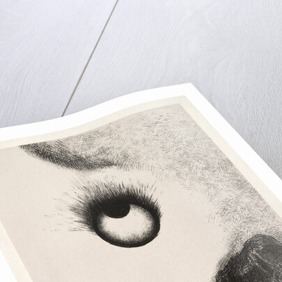 The Temptation of Saint Anthony: Everywhere Eyeballs are Aflame, 1888 by Odilon Redon; Becquet; Edmond Deman