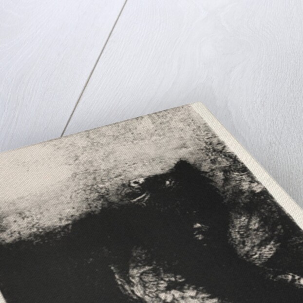 The Temptation of Saint Anthony: The Chimera with Green Eyes Turns, Bays, 1888 by Odilon Redon; Becquet; Edmond Deman