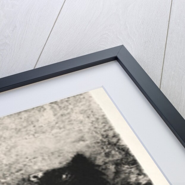 The Temptation of Saint Anthony: The Chimera with Green Eyes Turns, Bays, 1888 by Odilon Redon; Becquet; Edmond Deman