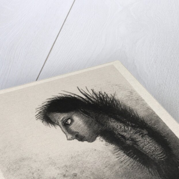 The Temptation of Saint Anthony: Then There Appears a Singular Being…, 1888 by Odilon Redon; Becquet; Edmond Deman