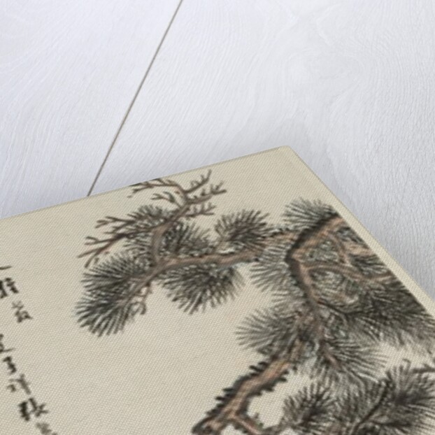 Three Purities, 1800s by Zhang Xiong