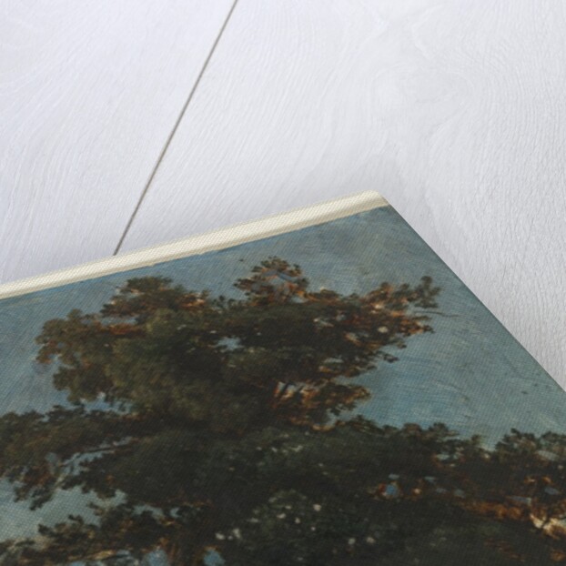 Tree Study, second third 1800s by Alexandre Calame (attributed to)