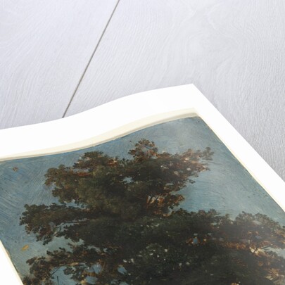 Tree Study, second third 1800s by Alexandre Calame (attributed to)