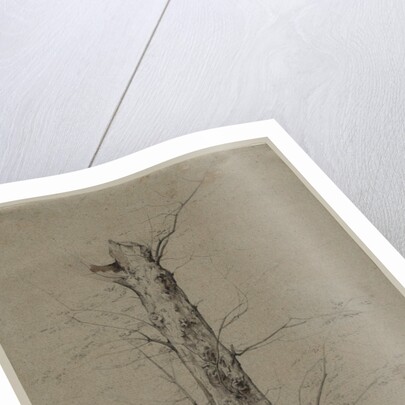 Tree, c. 1835-45 by Ludwig Ferdinand Schnorr von Carolsfeld