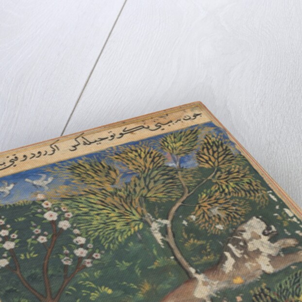 Tuti-Nama: Tale XXIX, c. 1560 by Unknown