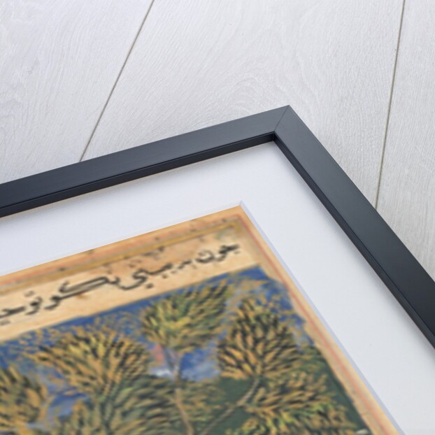 Tuti-Nama: Tale XXIX, c. 1560 by Unknown