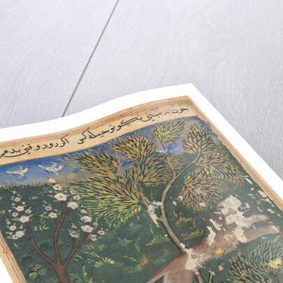 Tuti-Nama: Tale XXIX, c. 1560 by Unknown