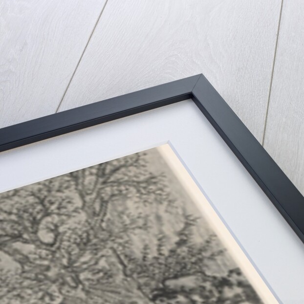 Twelve Views of Tiger Hill, Suzhou: The Sword Spring, Tiger Hill, after 1490 by Shen Zhou