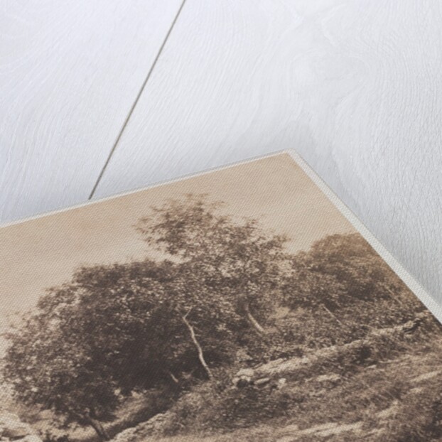 Untitled, c. 1853 by André Giroux