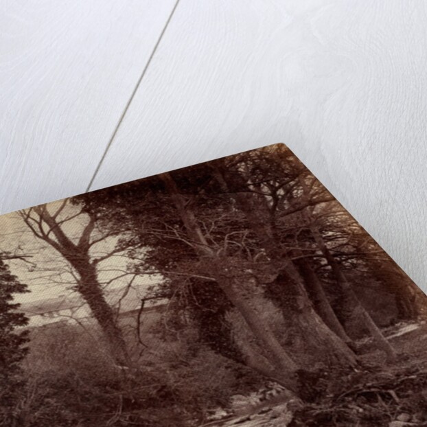 Untitled, c. 1859 by John Lloyd