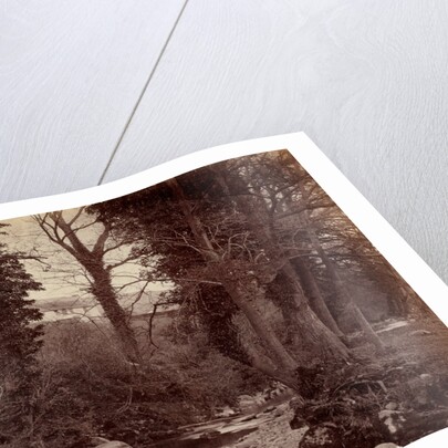 Untitled, c. 1859 by John Lloyd