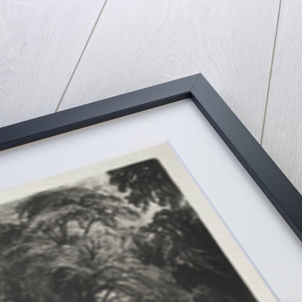 Various Subjects of Landscape, Characteristic of English Scenery…Stoke by Neyland, Suffolk, 1830 by David Lucas