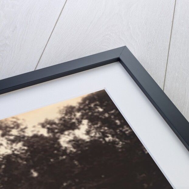 Versailles, Fountain of Enceladus, 1922-1923 by Eugène Atget